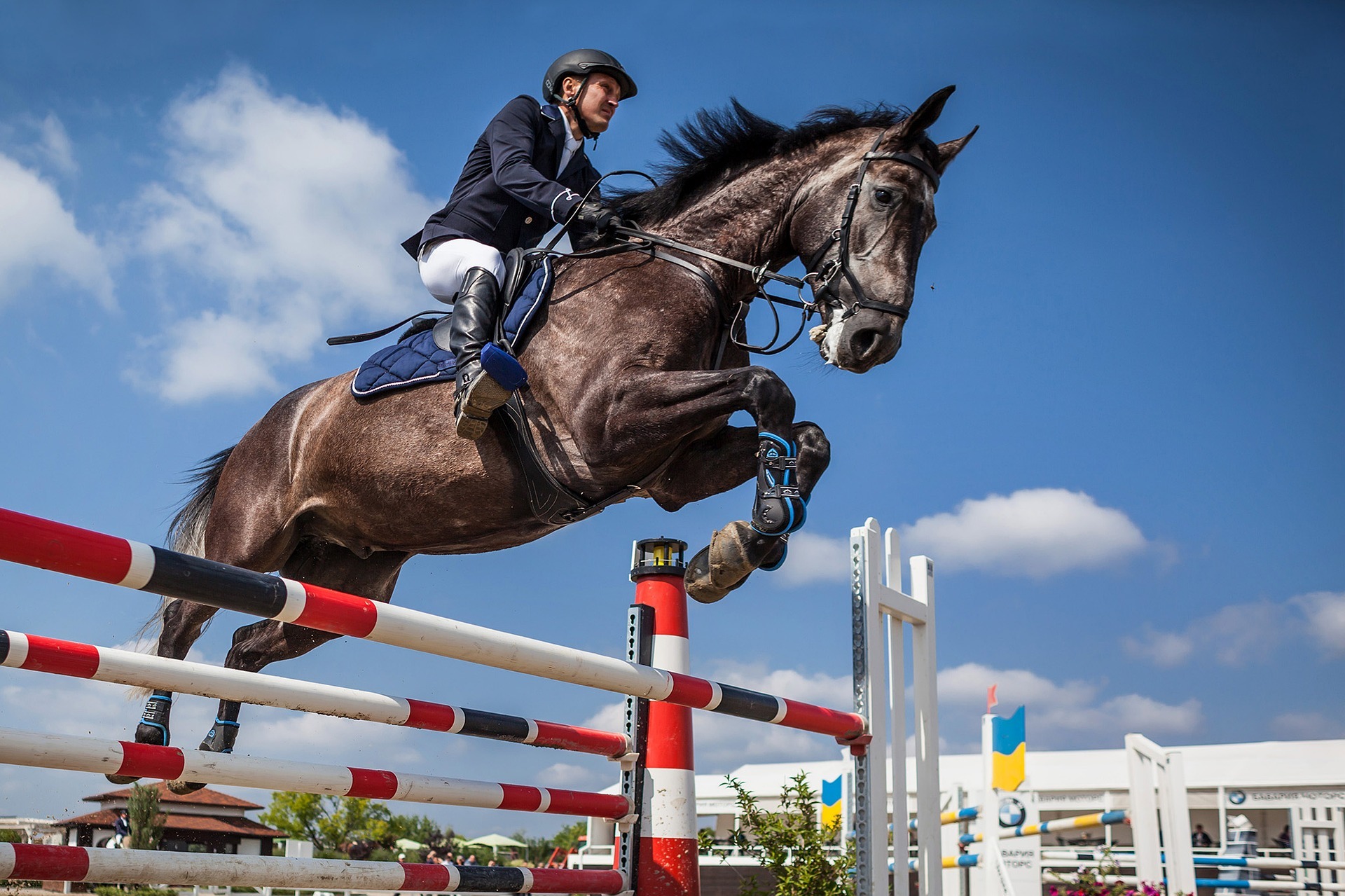 První koňští olympijští šampioni dorazili do Tokia. Náročný transport stál miliony